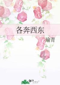 万词王