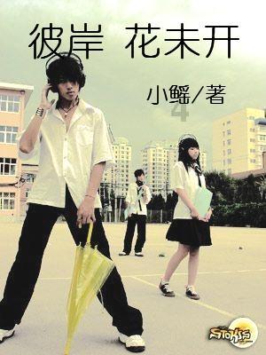 深入探索你喜欢的城市是哪里?,分享知识与智慧